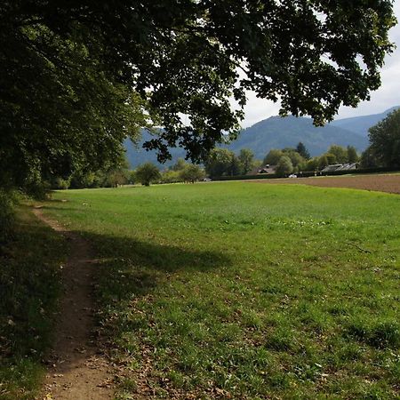 Ferienwohnungen Stegen Extérieur photo